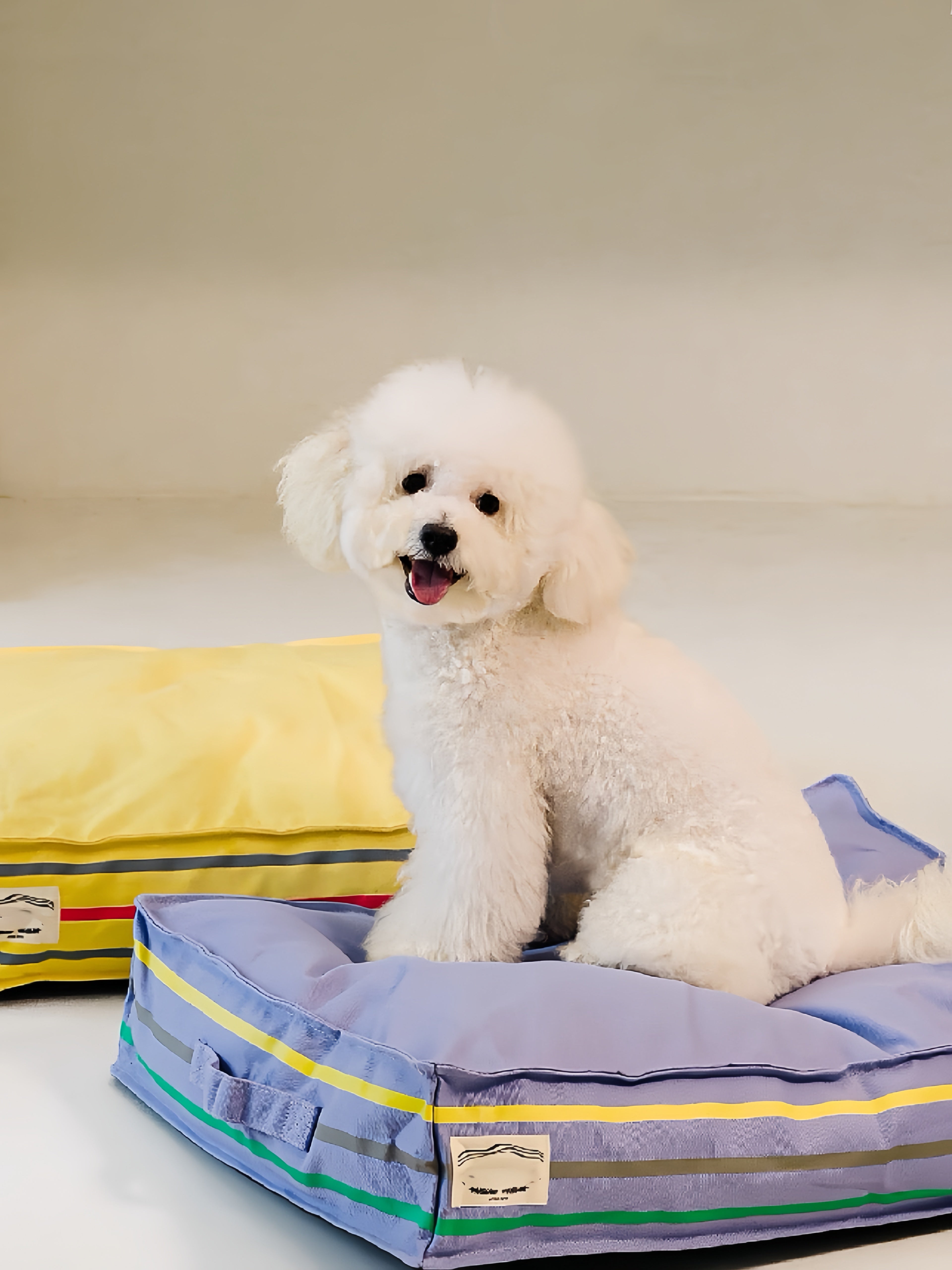 Dog Beds & Mats