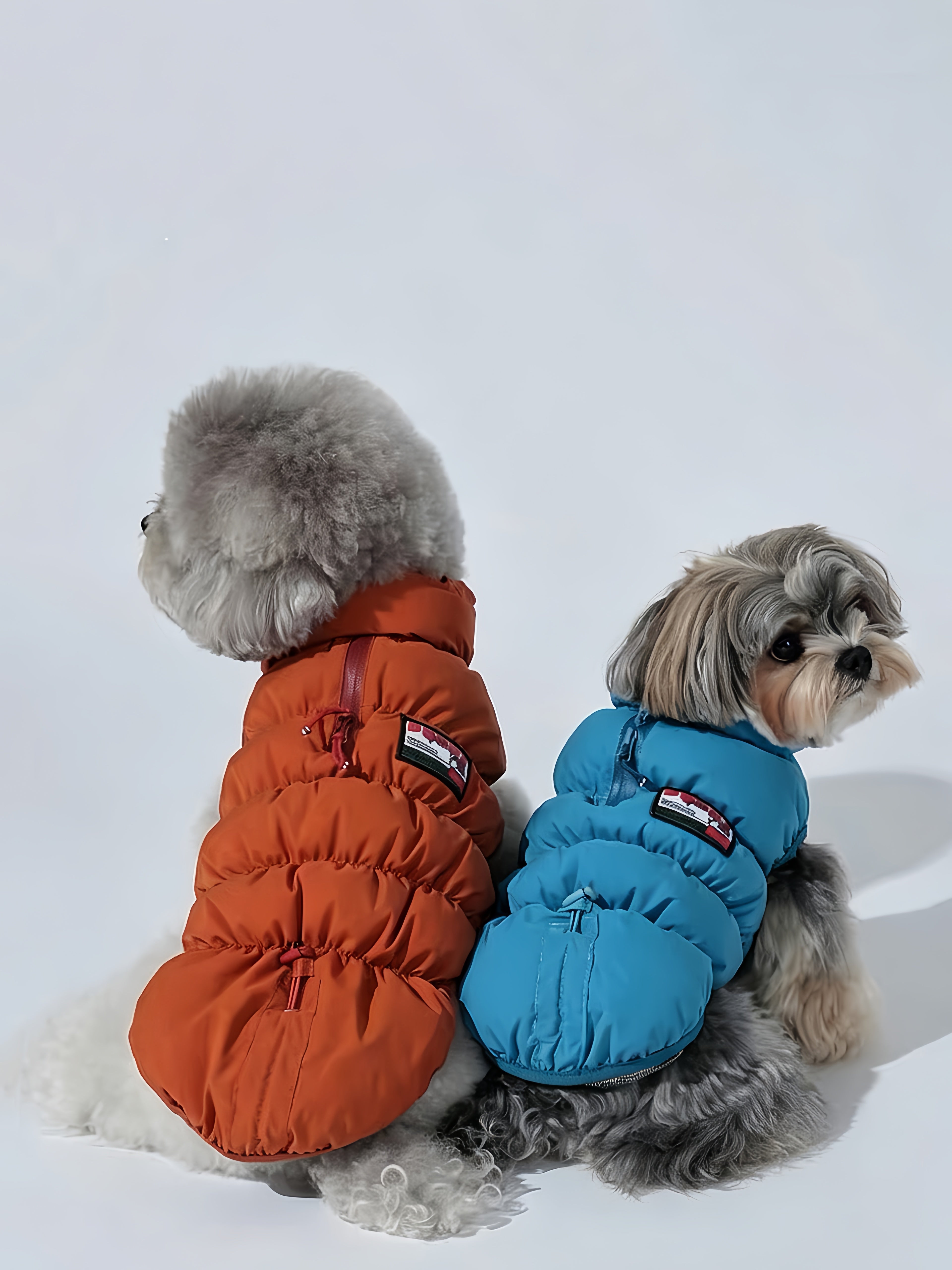 Dog Apparel