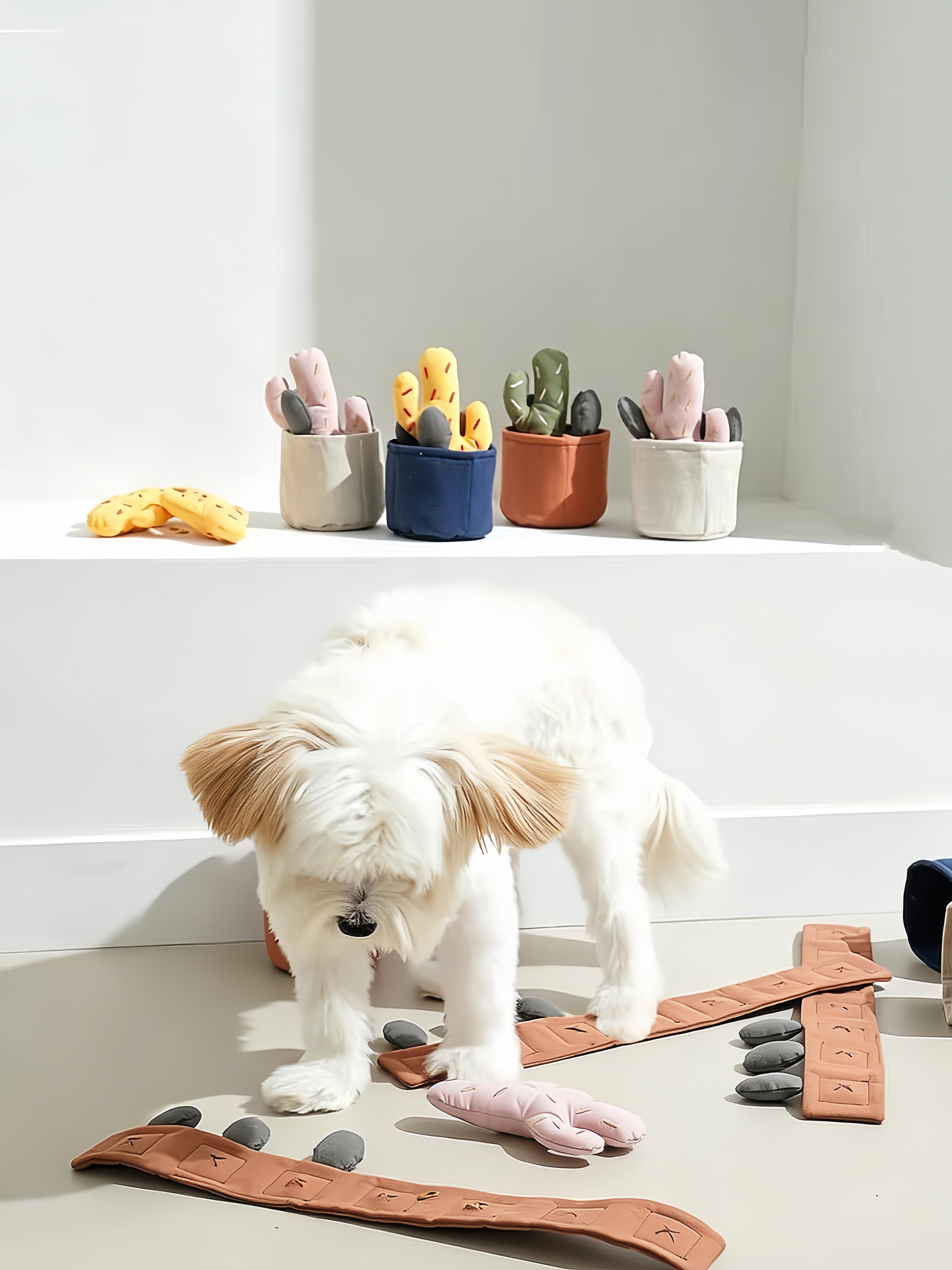 Dog Toys