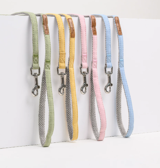 Breathable Dog Leash, Lightweight Nylon Lead for Small & Medium Dogs Training