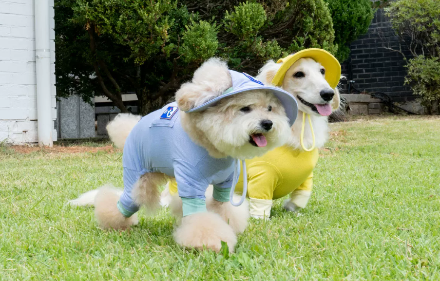 Dog Summer Cooling Jumpsuit, Breathable Four-Legged Outfit for Small Dogs