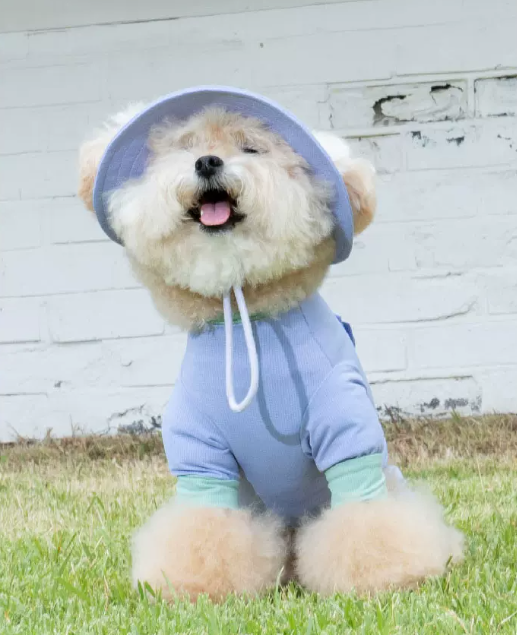 Dog Summer Cooling Jumpsuit, Breathable Four-Legged Outfit for Small Dogs