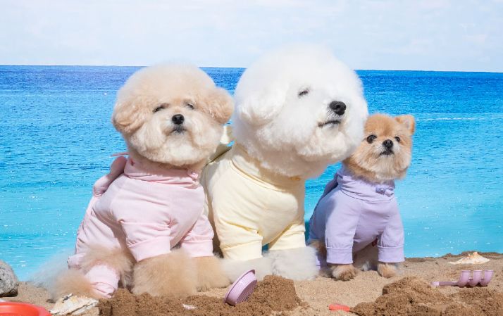 Dog Hooded Cooling Jumpsuit, Breathable Four-Legged Summer Outfit for Small Dogs