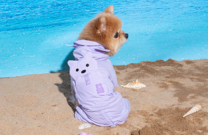 Dog Hooded Cooling Jumpsuit, Breathable Four-Legged Summer Outfit for Small Dogs