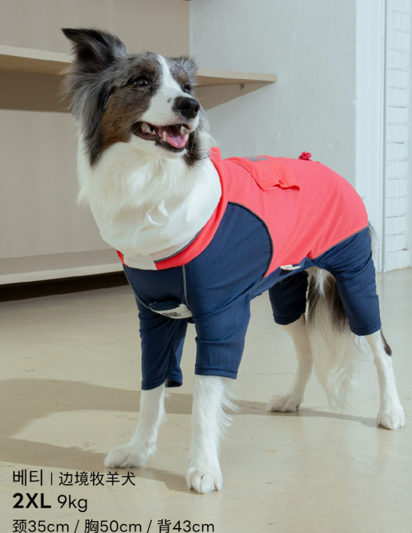 Dog Summer Cooling Harness Jumpsuit, Full-Coverage UV Protection Outfit for Outdoor