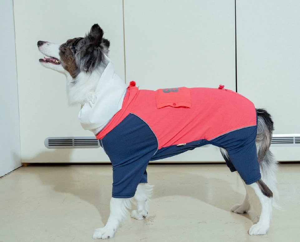 Dog Summer Cooling Harness Jumpsuit, Full-Coverage UV Protection Outfit for Outdoor