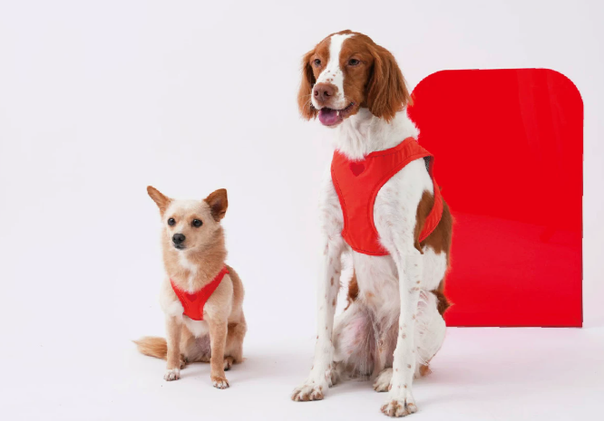 Adjustable Dog Harness Vest, Lightweight No-Pull Harness for Small Dogs Walking