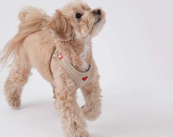 Adjustable Dog Harness Vest, Lightweight No-Pull Harness for Small Dogs Walking