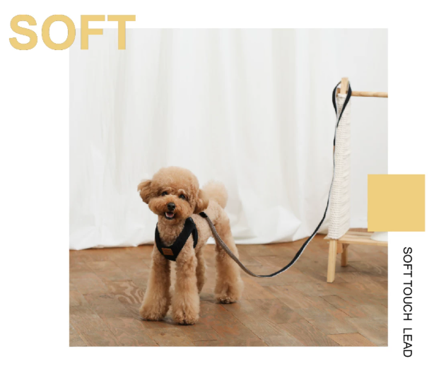 Breathable Dog Leash, Lightweight Nylon Lead for Small & Medium Dogs Training