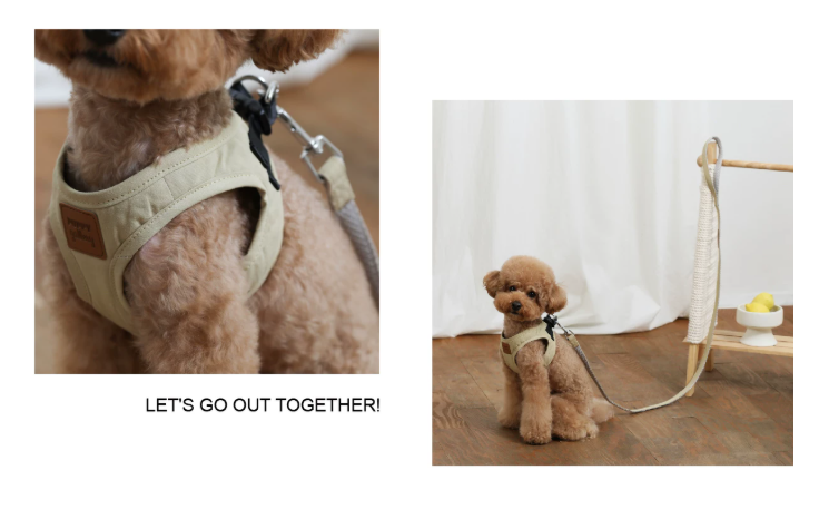 Breathable Dog Leash, Lightweight Nylon Lead for Small & Medium Dogs Training