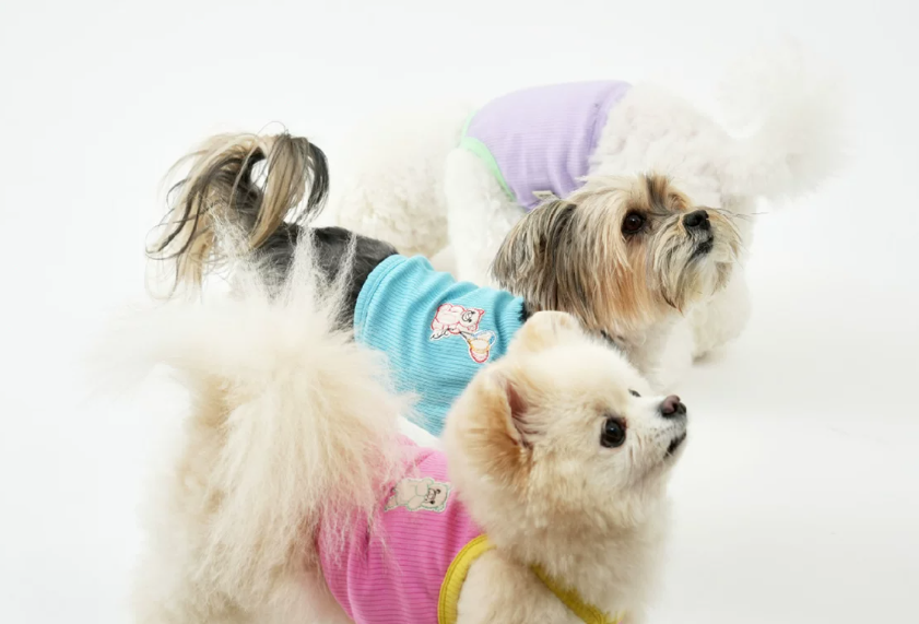 Dog Summer Cooling T-Shirt, Breathable Sleeveless Tank Top for Small Dogs