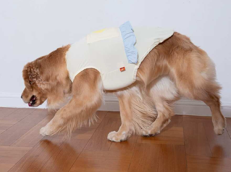 Dog Summer Cooling Tank Top, Breathable Sleeveless Vest for Small Dogs