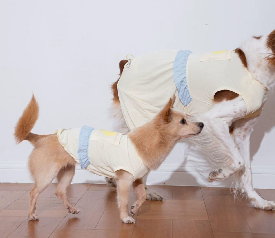 Dog Summer Cooling Tank Top, Breathable Sleeveless Vest for Small Dogs