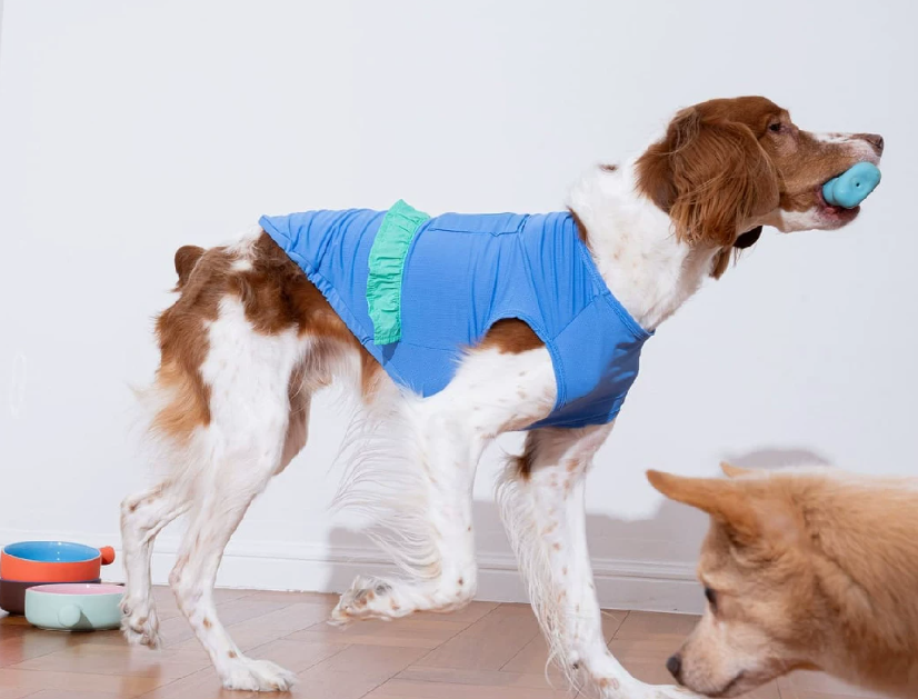 Dog Summer Cooling Tank Top, Breathable Sleeveless Vest for Small Dogs