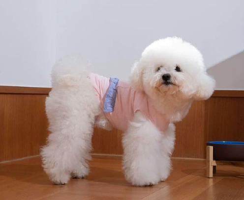 Dog Summer Cooling Tank Top, Breathable Sleeveless Vest for Small Dogs