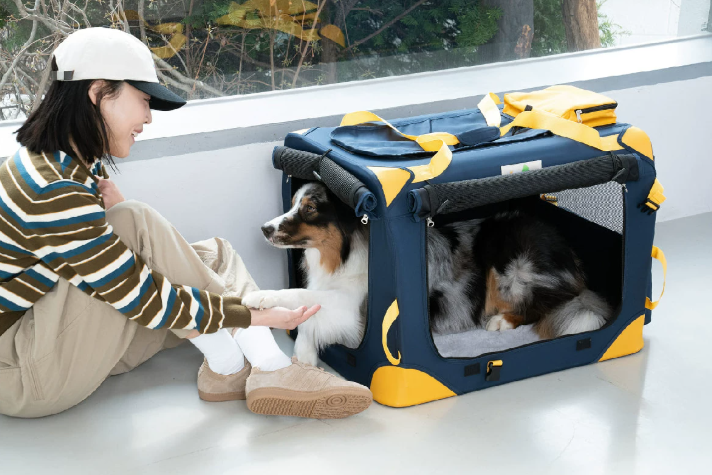 Foldable Dog Travel Tote Bag, Portable Multi-Purpose Carrier for Small Dogs Outdoor