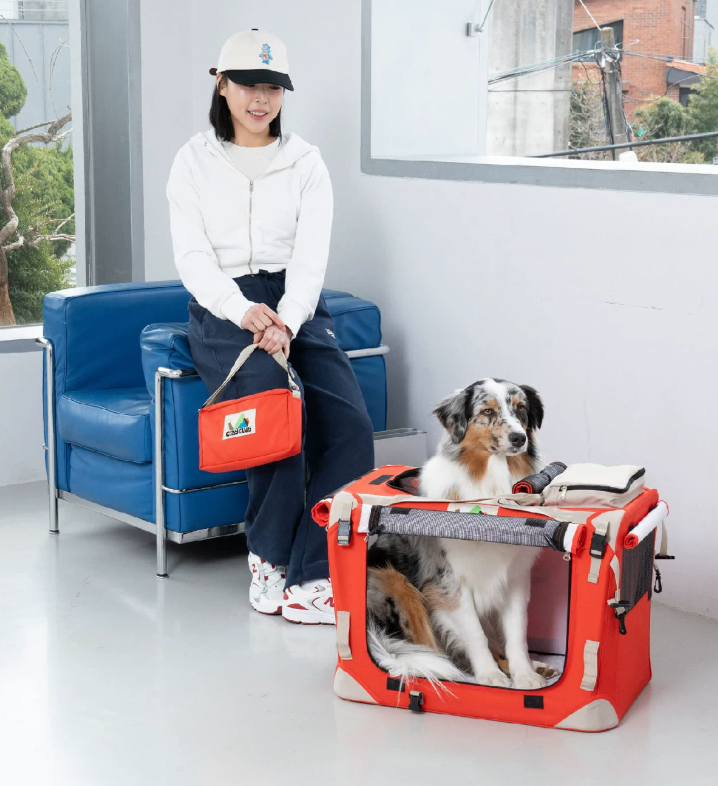 Foldable Dog Travel Tote Bag, Portable Multi-Purpose Carrier for Small Dogs Outdoor