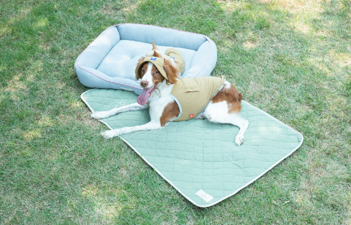 Ice Silk Cooling Dog Mat, Washable Summer Pet Pad for All Breeds