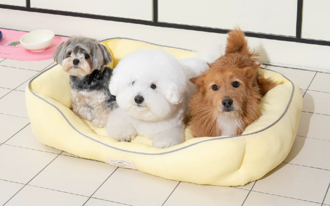 Ice Silk Cooling Dog Nest Bed, Breathable Summer Pet Bed for Small & Medium Dogs