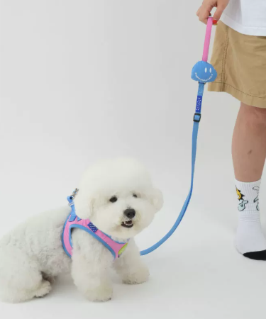Dog Harness Vest, Breathable No-Pull Harness for Small & Medium Dogs Walking