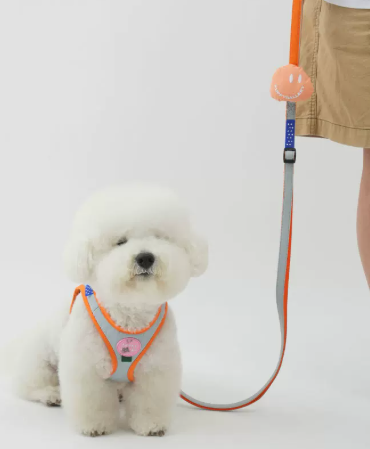 Dog Harness Vest, Breathable No-Pull Harness for Small & Medium Dogs Walking