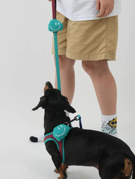 Dog Harness Vest, Breathable No-Pull Harness for Small & Medium Dogs Walking