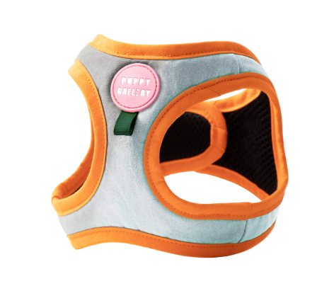 Dog Harness Vest, Breathable No-Pull Harness for Small & Medium Dogs Walking