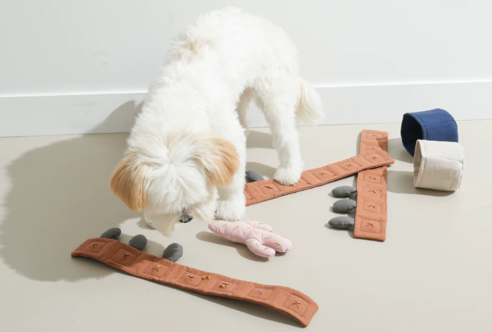 Cactus Crinkle & Snuffle Interactive Dog Toy