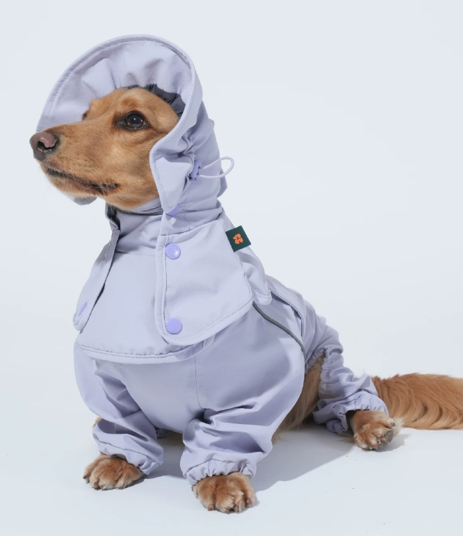 Go Pro Weather Suit Waterproof Dog Raincoat with Reflective Strips