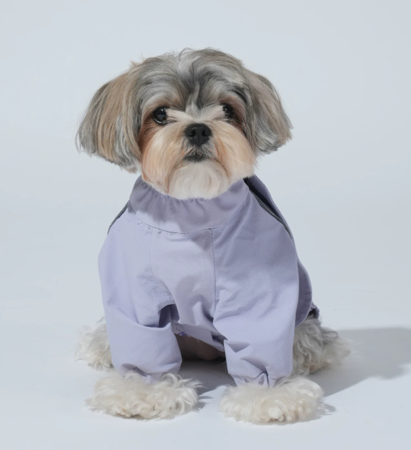 Go Pro Weather Suit Waterproof Dog Raincoat with Reflective Strips