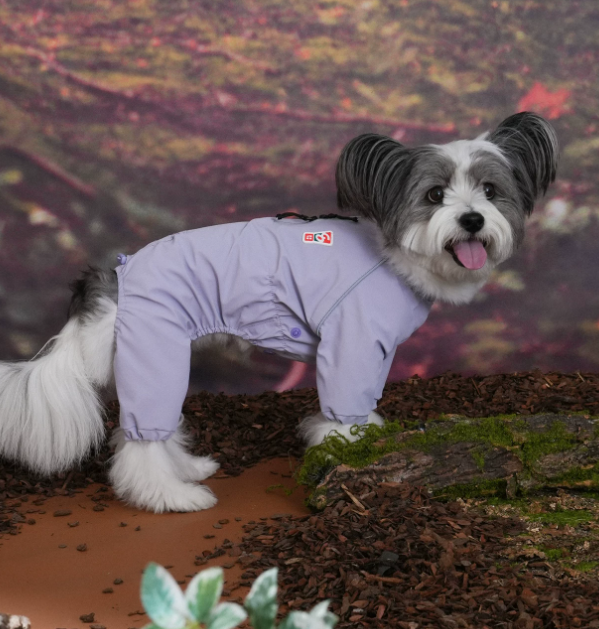 Go Pro Weather Suit Waterproof Dog Raincoat with Reflective Strips