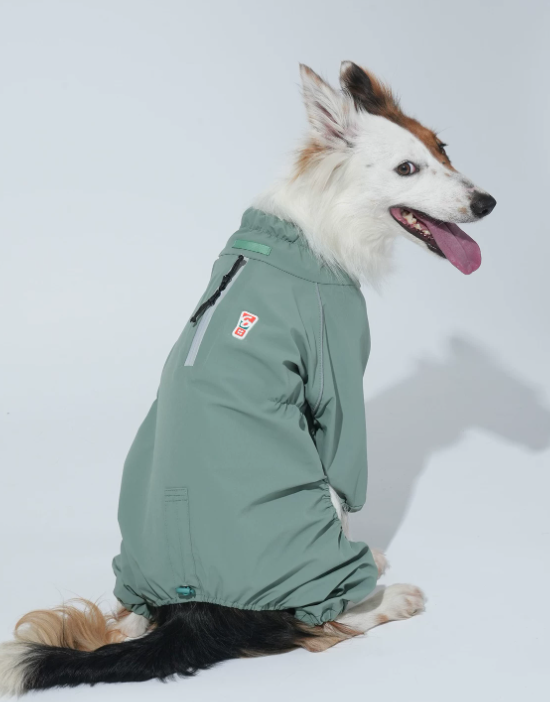 Go Pro Weather Suit Waterproof Dog Raincoat with Reflective Strips
