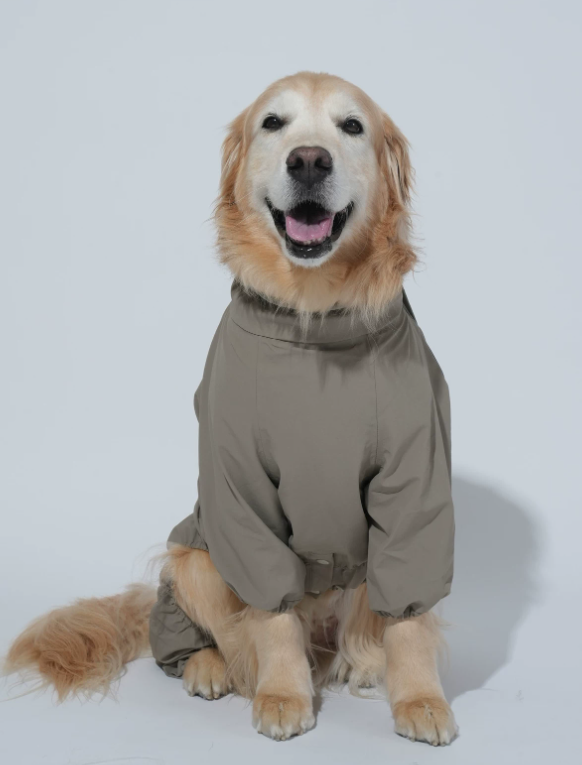 Go Pro Weather Suit Waterproof Dog Raincoat with Reflective Strips