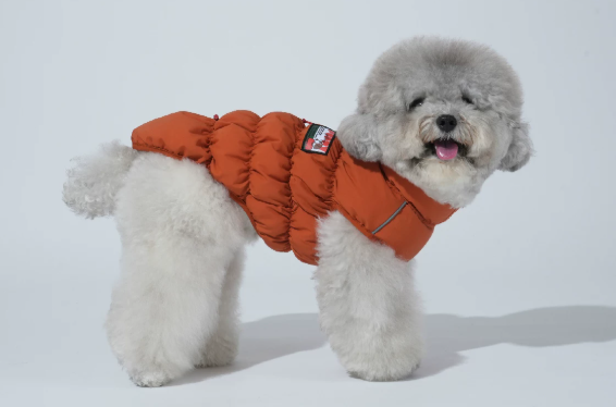 Dog Cloud Insulated Vest, Thermal Reflective Winter Coat for Small/Medium Dogs