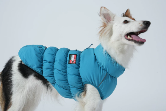Dog Cloud Insulated Vest, Thermal Reflective Winter Coat for Small/Medium Dogs