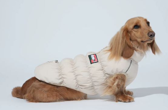 Dog Cloud Insulated Vest, Thermal Reflective Winter Coat for Small/Medium Dogs
