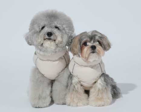 Dog Cloud Insulated Vest, Thermal Reflective Winter Coat for Small/Medium Dogs