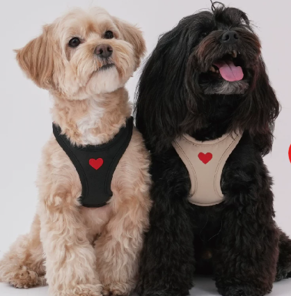 Adjustable Dog Harness Vest, Lightweight No-Pull Harness for Small Dogs Walking