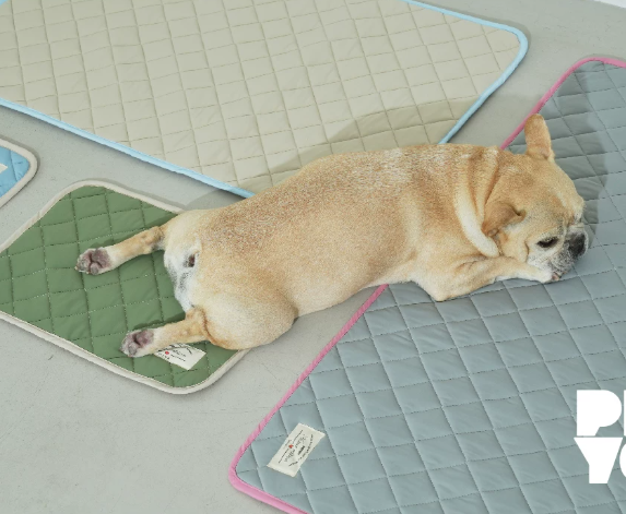 Ice Silk Cooling Dog Mat, Washable Summer Pet Pad for All Breeds
